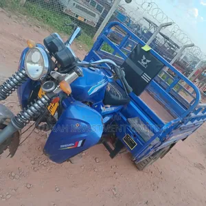 Tricycle Ihemas 2024 Blue