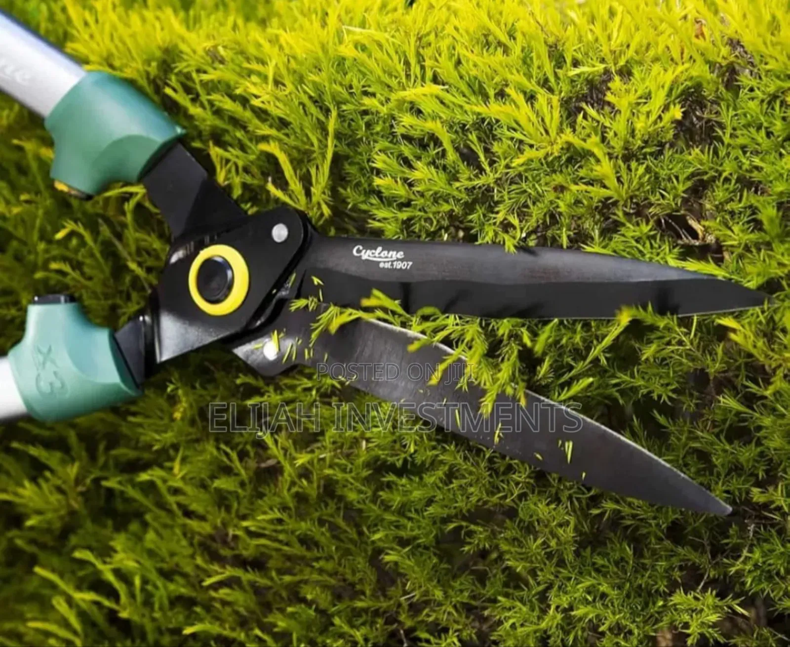 Stainless Steel Medium-Sized Garden Scissors