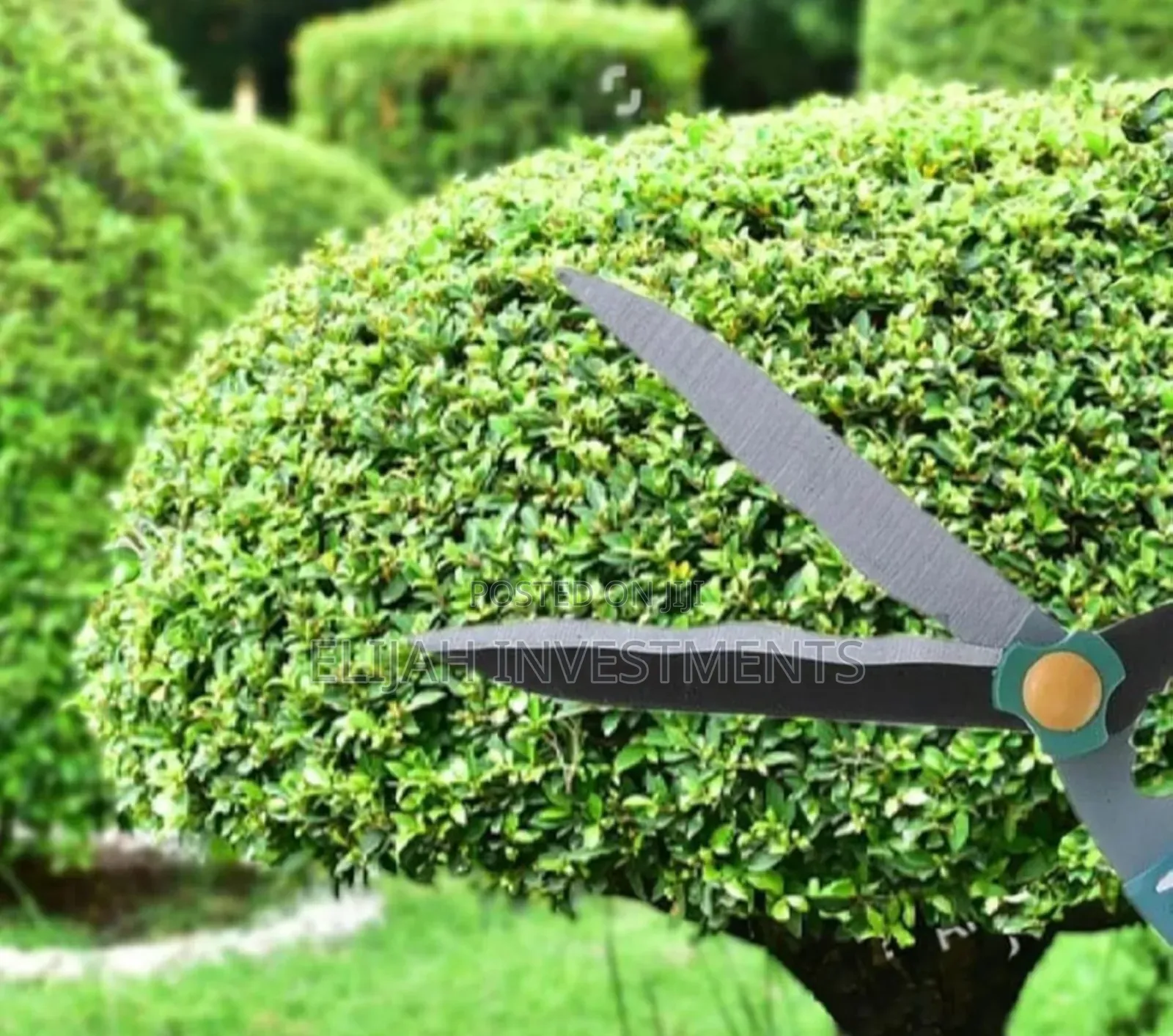 Stainless Steel Medium-Sized Garden Scissors