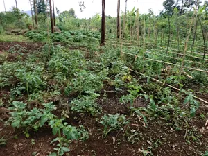 Residential Land on Sale