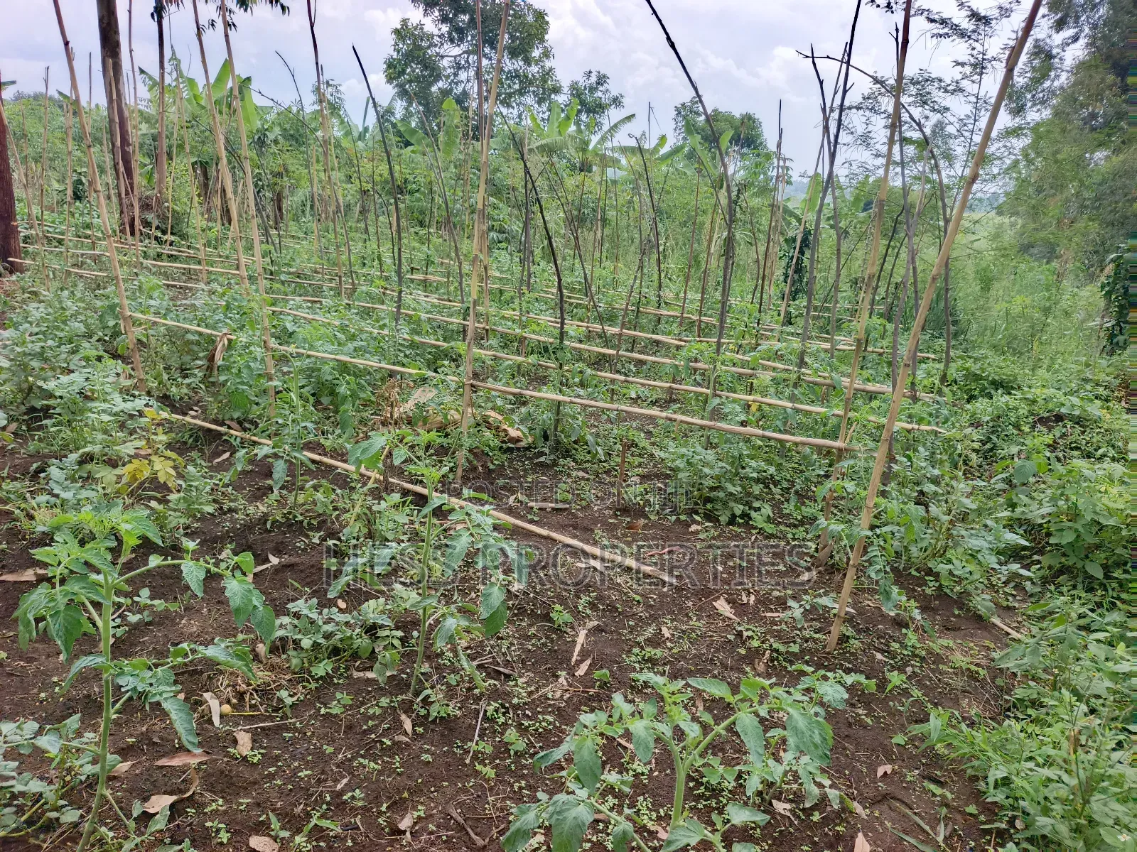 Residential Land on Sale