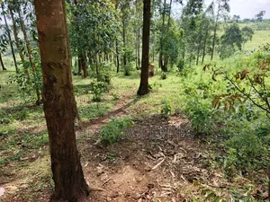 Residential Land on Sale