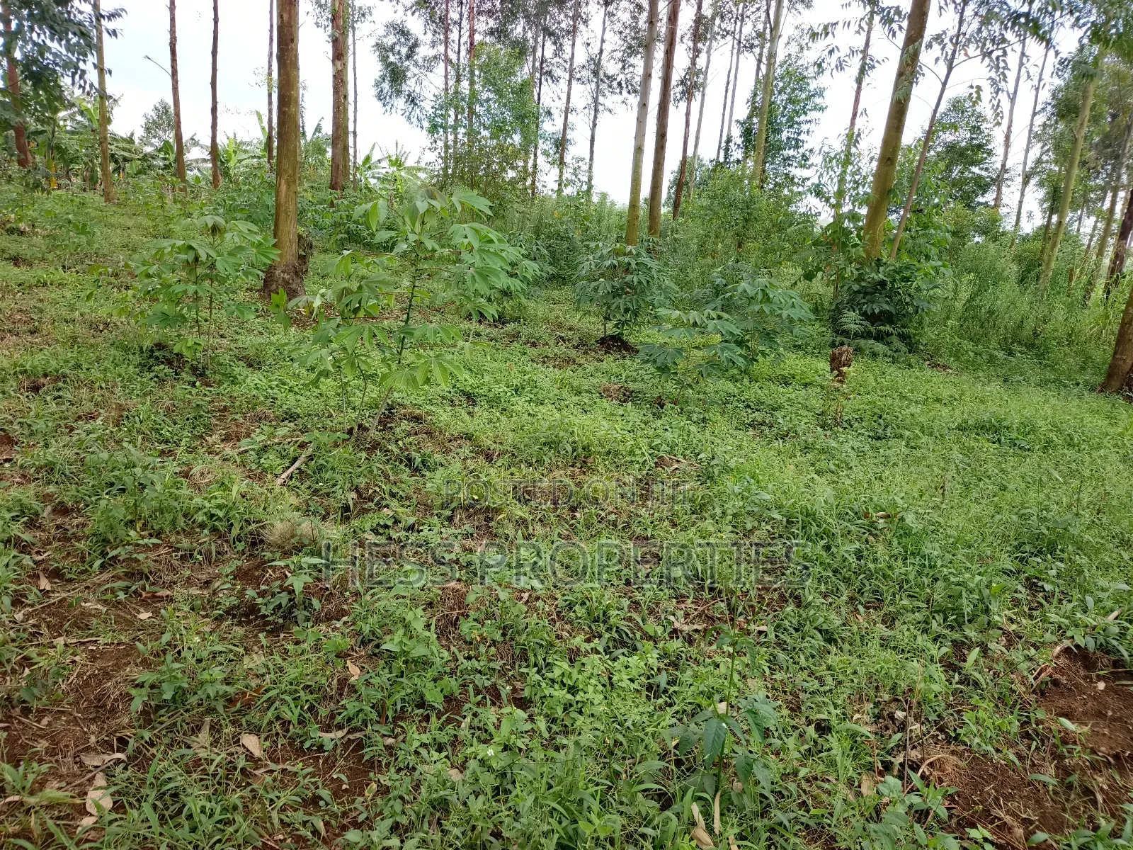 Residential Land on Sale