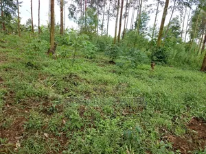 Residential Land on Sale