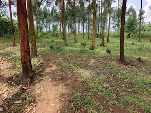 Residential Land on Sale