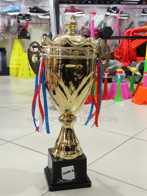 Photo - Trophy Award