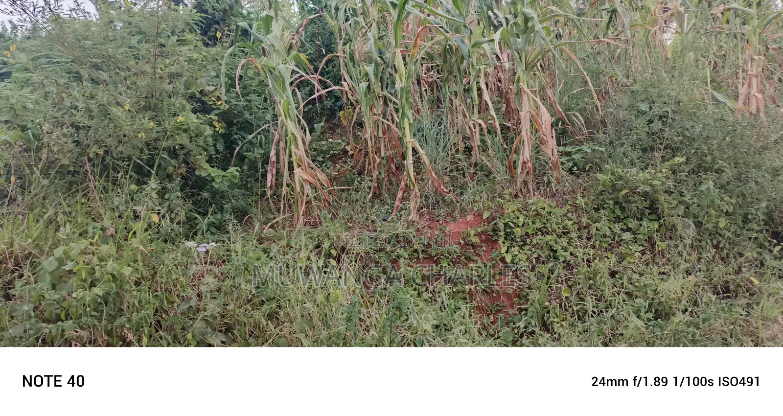 Commercial Plot For Sale In Kira Kasangati Road