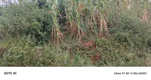 Commercial Plot For Sale In Kira Kasangati Road
