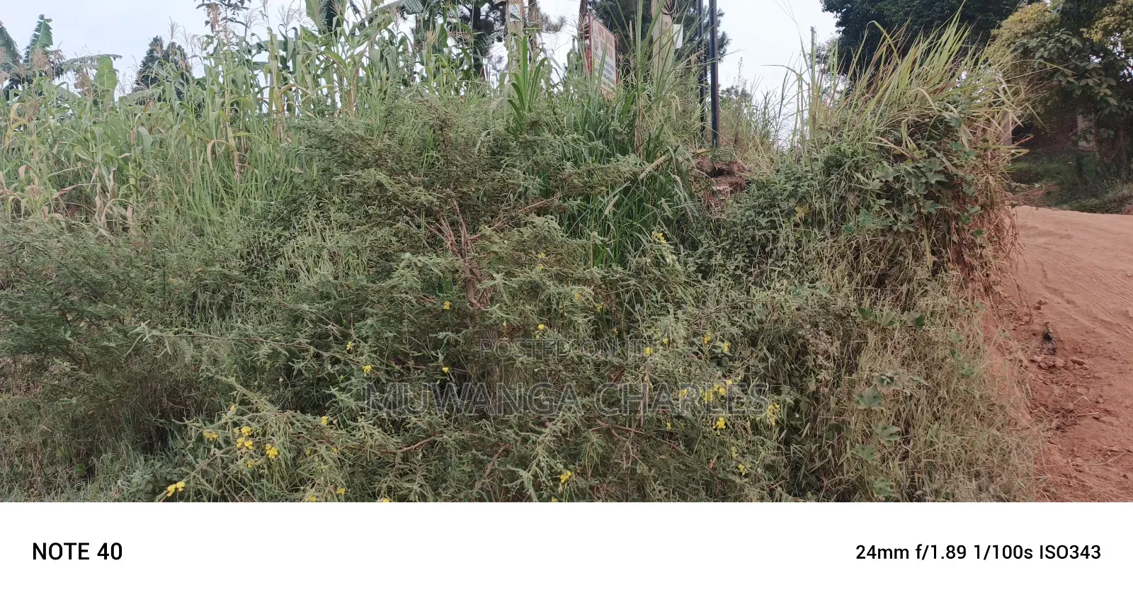 Commercial Plot For Sale In Kira Kasangati Road