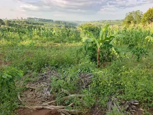 Agricultural Land on Sale