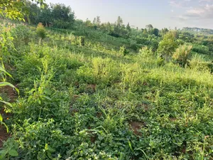 Agricultural Land on Sale