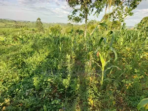 Agricultural Land on Sale