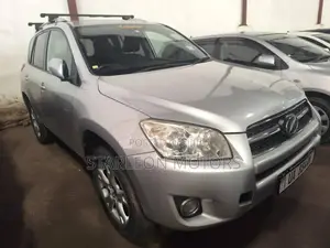 Toyota RAV4 2010 Silver