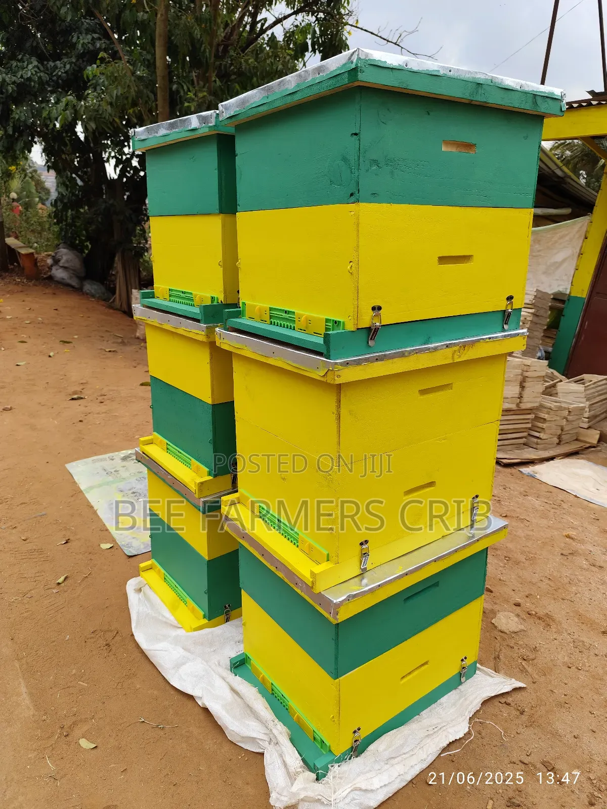 Langstroth Bee Hive