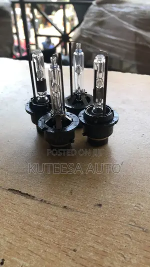 Zenon Bulbs(D2,D4)