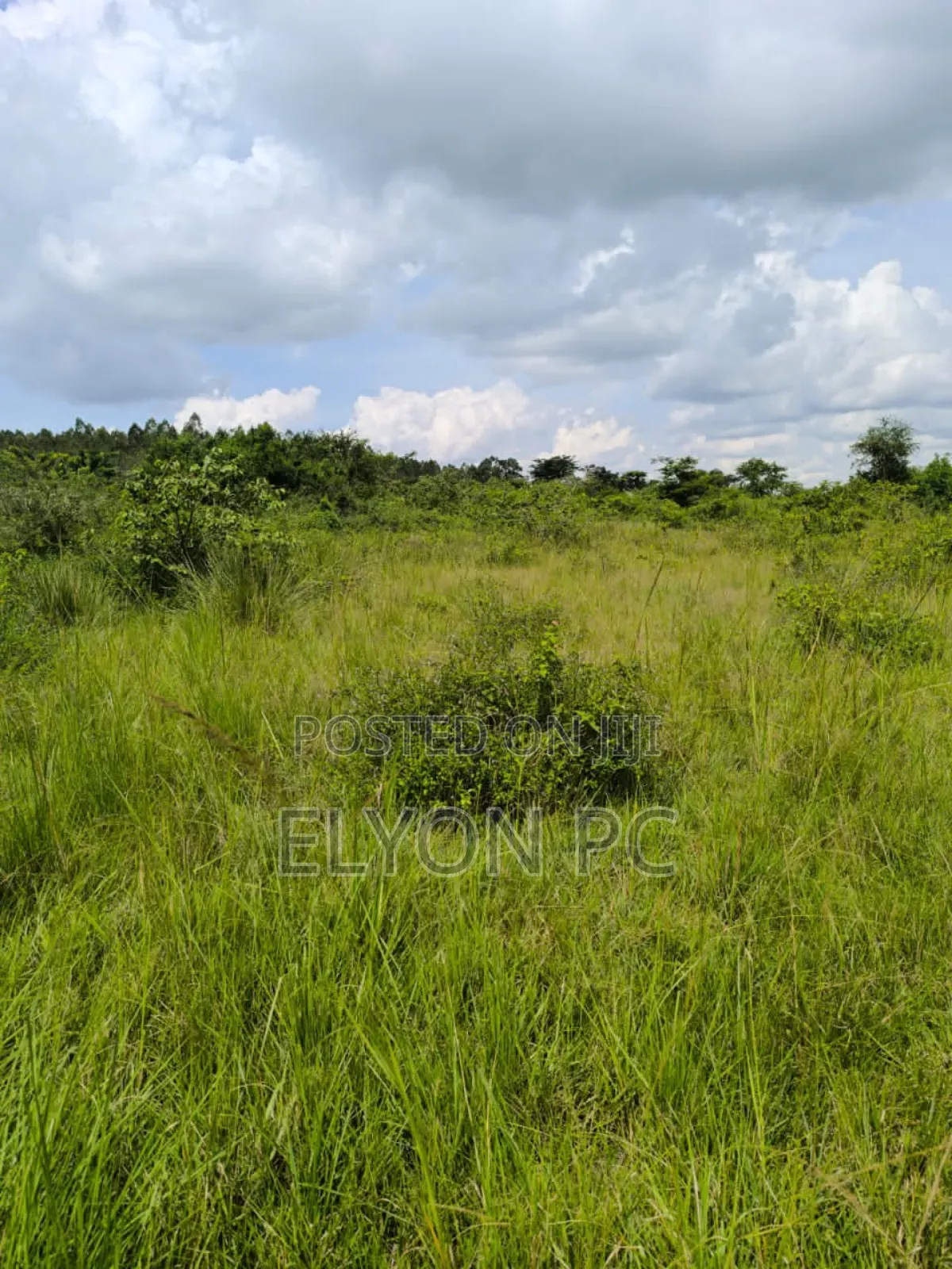 Masaka-Lukaya 5 Square Miles Freehold at 7m Per Acre