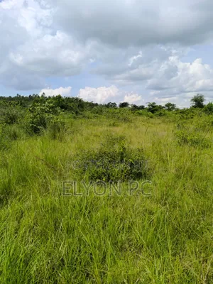Masaka-Lukaya 5 Square Miles Freehold at 7m Per Acre