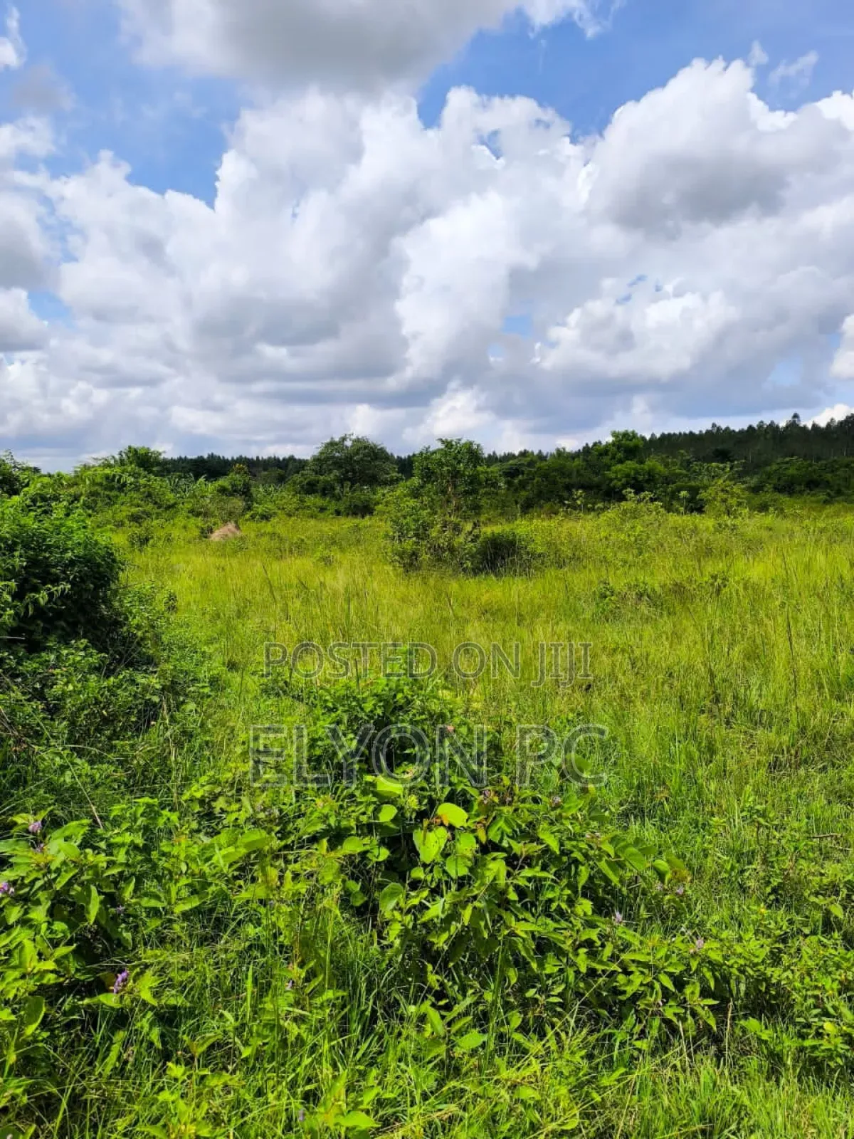 Masaka-Lukaya 5 Square Miles Freehold at 7m Per Acre
