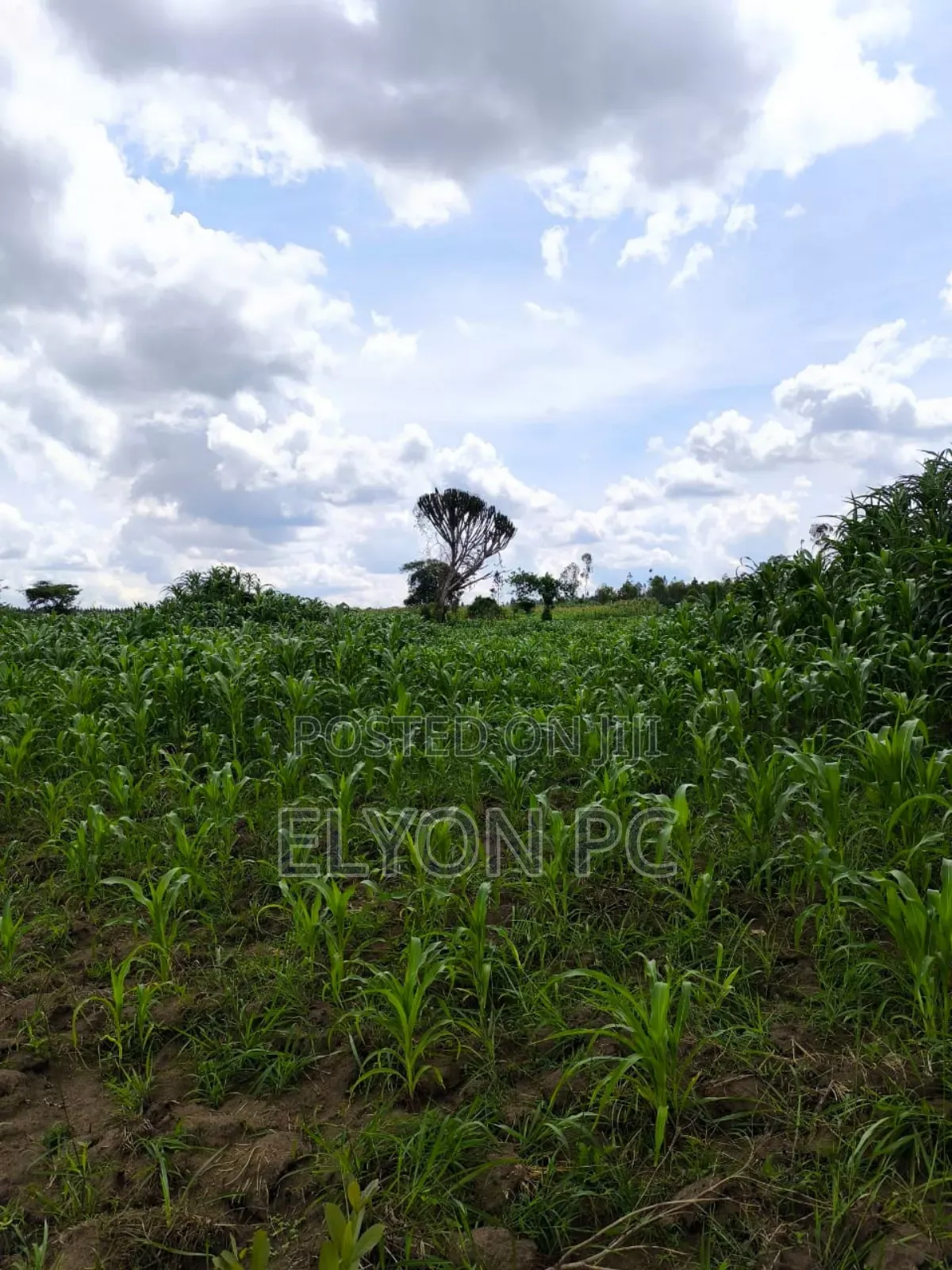 Masaka-Lukaya 5 Square Miles Freehold at 7m Per Acre
