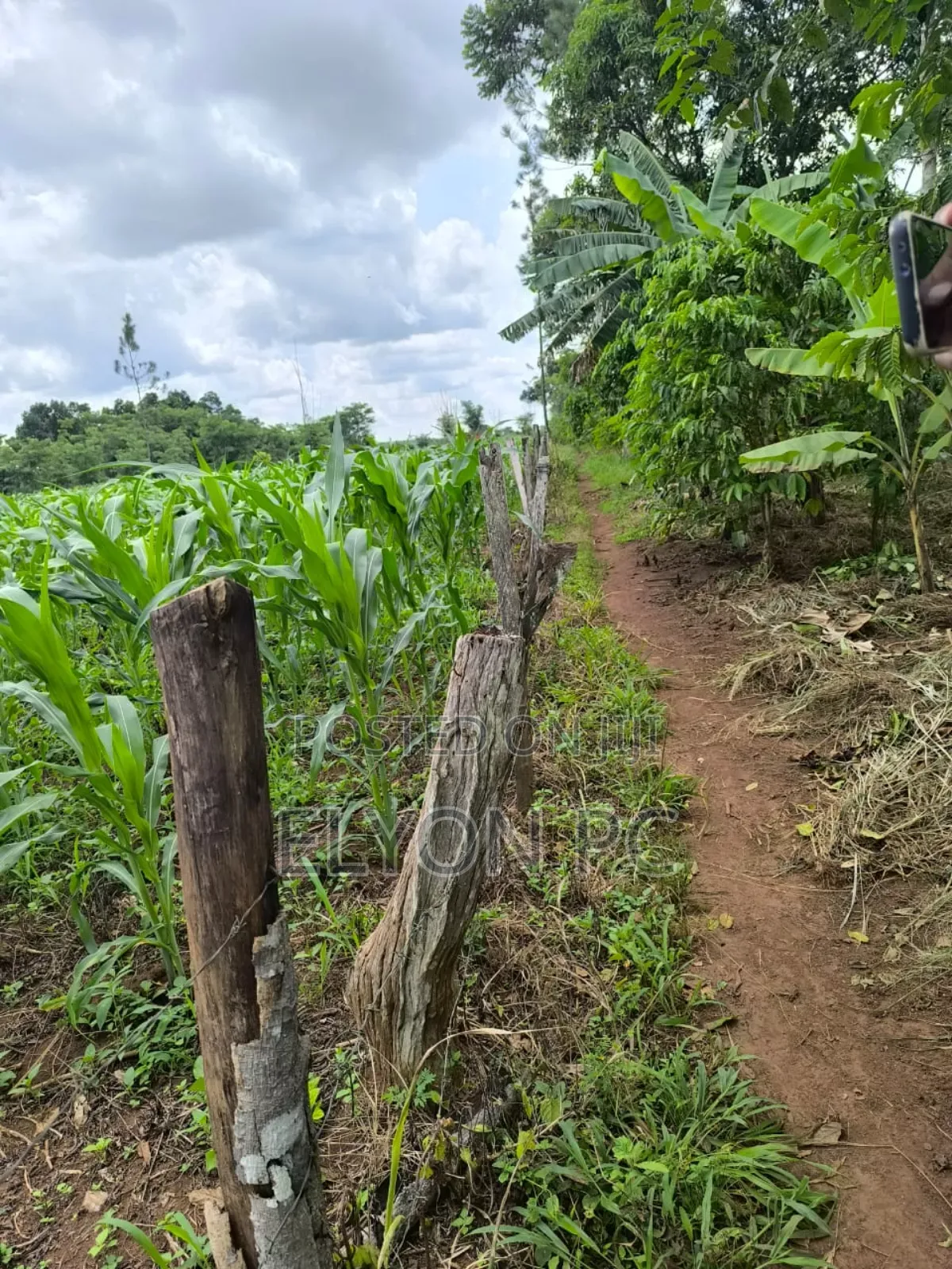 70 Acres Kampeka at 12m Each