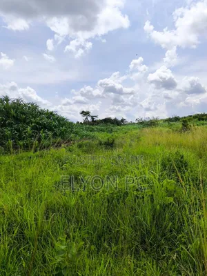 Nakasongola 2 Sq Miles With Milo Land Title at 10m Per Acre