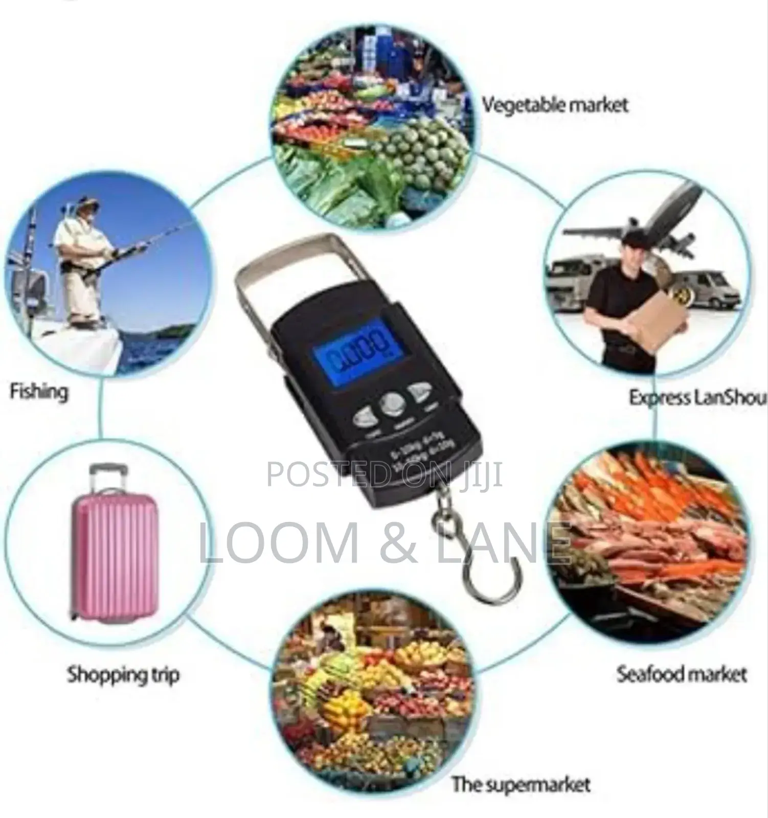 Premium Hook Scale