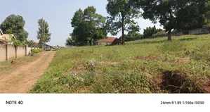 Hot Deal 18decimal for Sale in Kulambilo