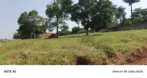 Hot Deal 18decimal for Sale in Kulambilo