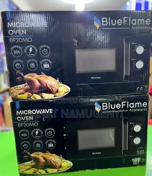 Photo - Blueflame Microwave