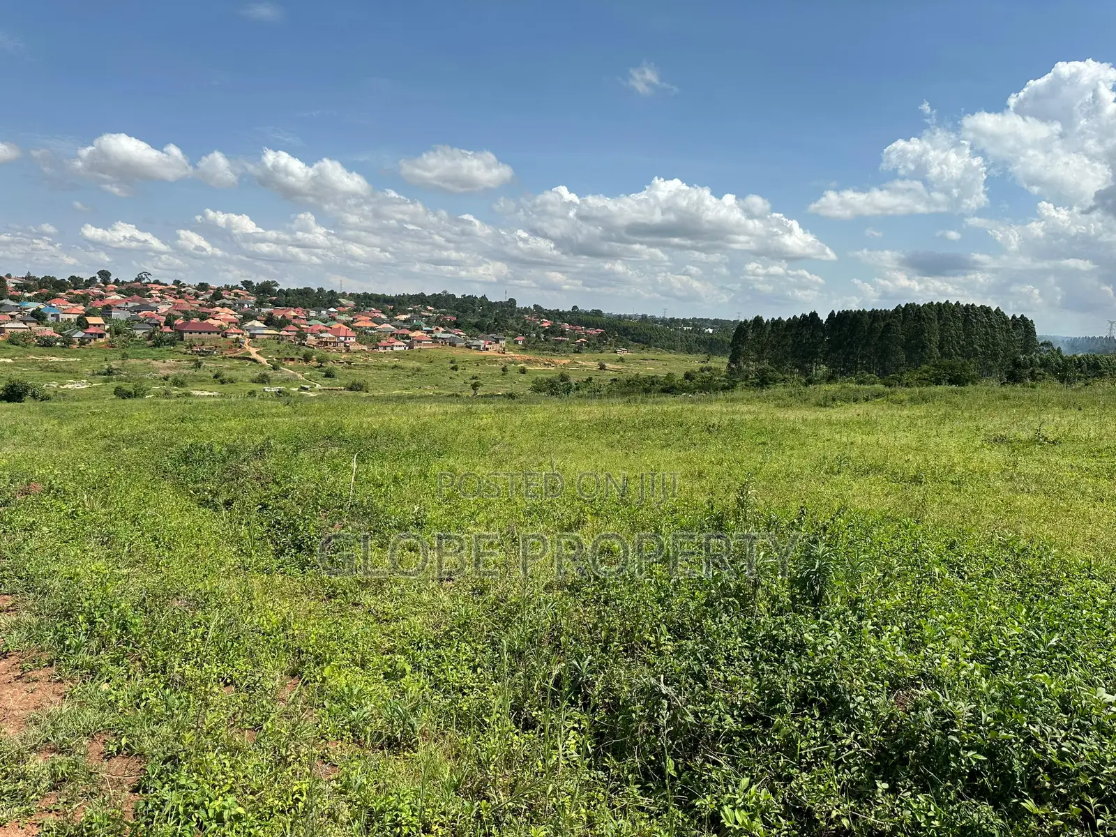 50x100 Plot for Sale in Nsambwe Mukono