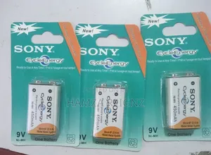 Sony Cycle Energy 9v Rechargeable Battery 450mah