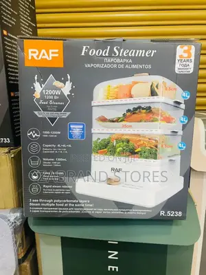 Raf Electric Steamer