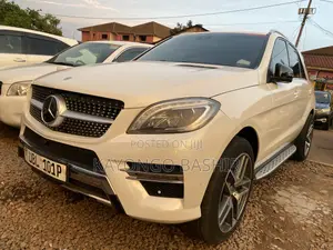 Photo - Mercedes-Benz M Class 2014 White