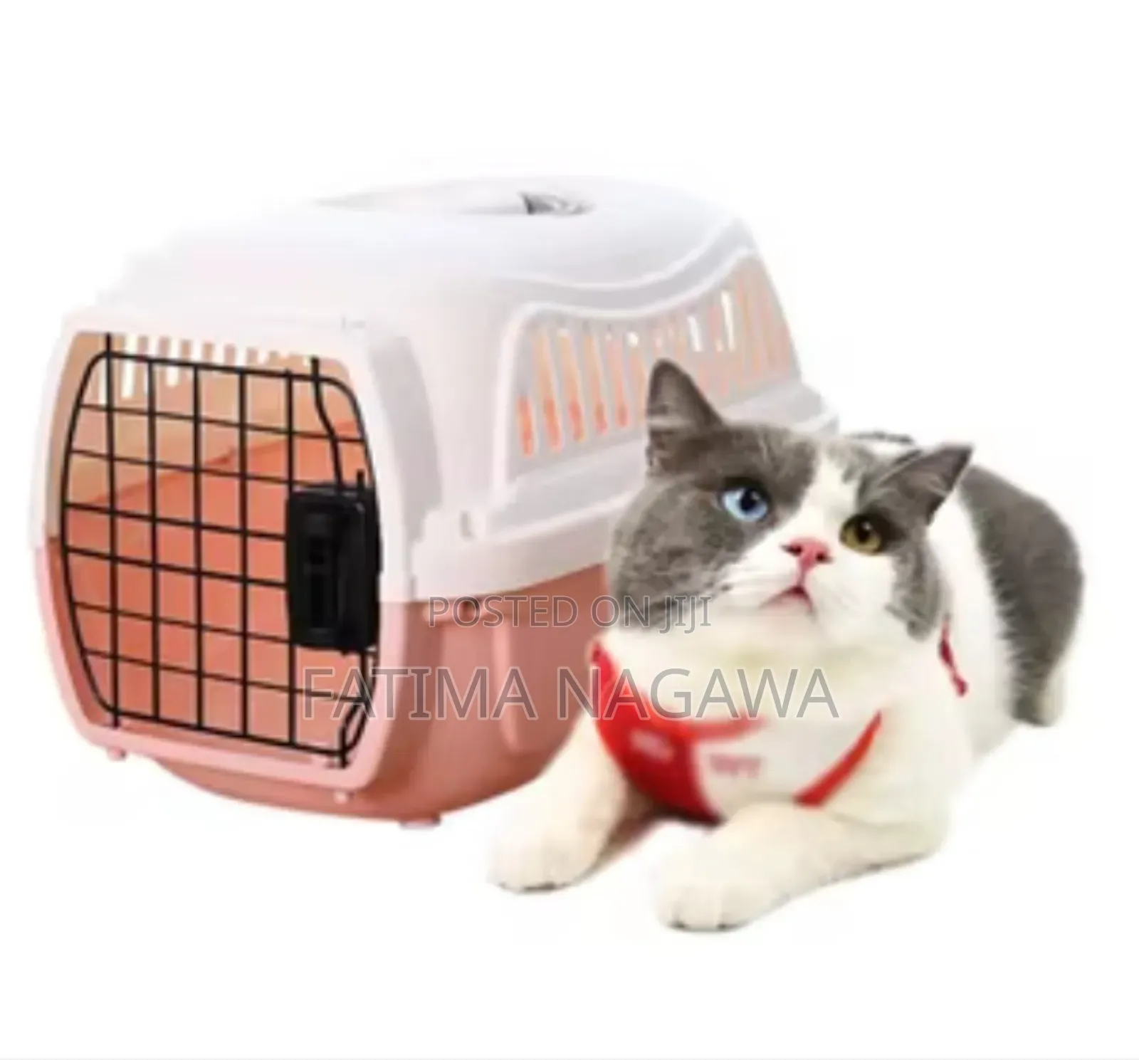Plastic Pet Carrier Cage