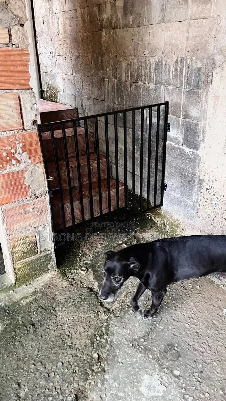 Safety Gates for Pets / Babies Both Indoor and Outdoor