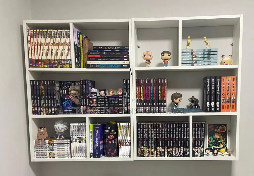 A Pair of 2 Wall Bookshelves/ Perfume Shelves