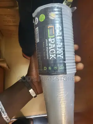 Disposable Cups 500mls Carton 500pcs