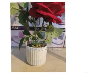 Photo - Decorative Ceramic Flower Vase-White