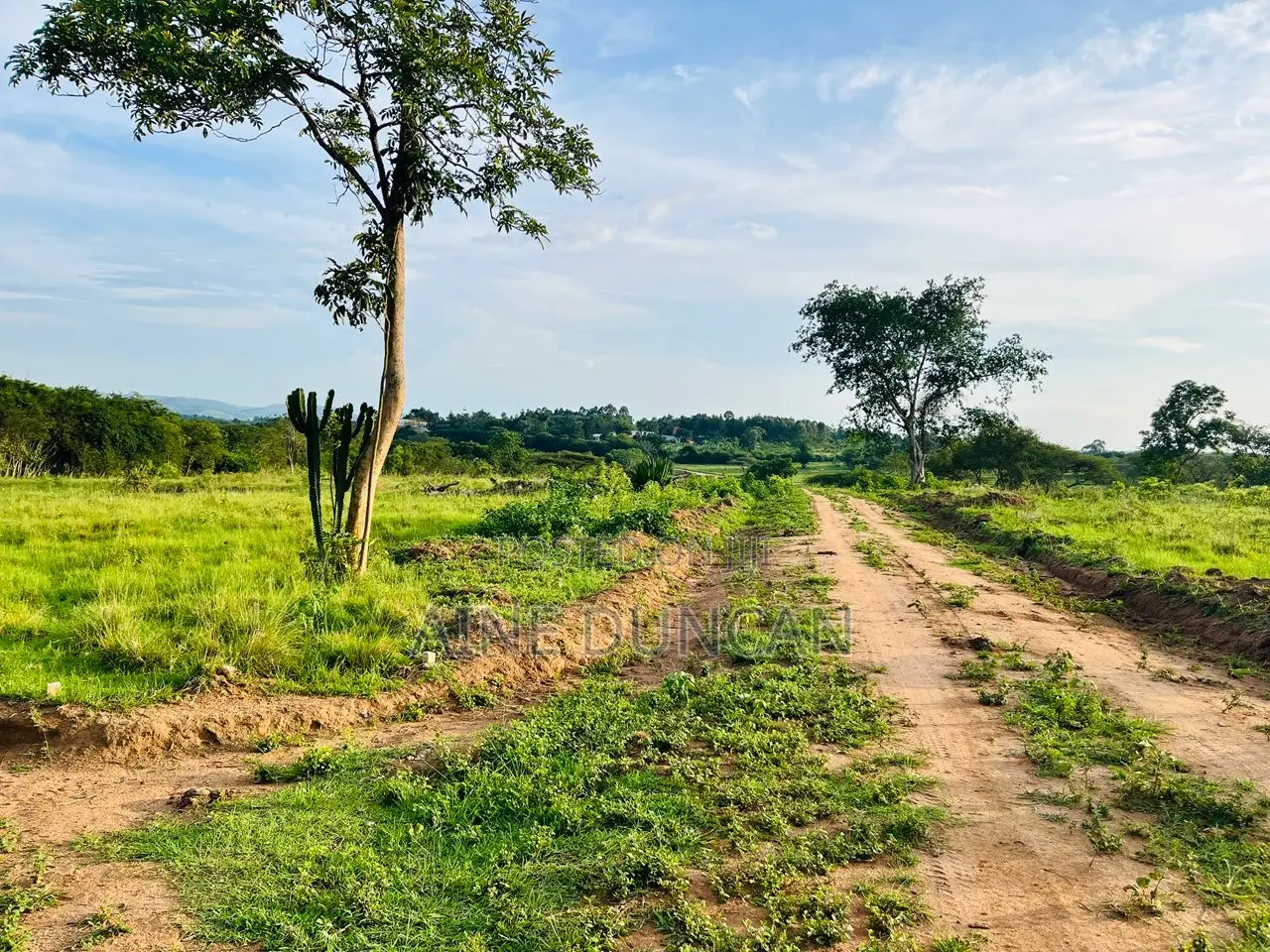 Plots of Land for Sale in Lyantonde