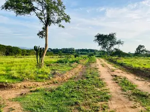 Plots of Land for Sale in Lyantonde