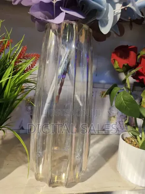 Beautiful Clear Long Flower Vase