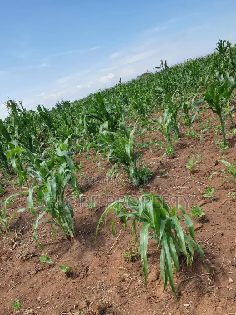 1 Square Mile of Land for Sale in Kayunga