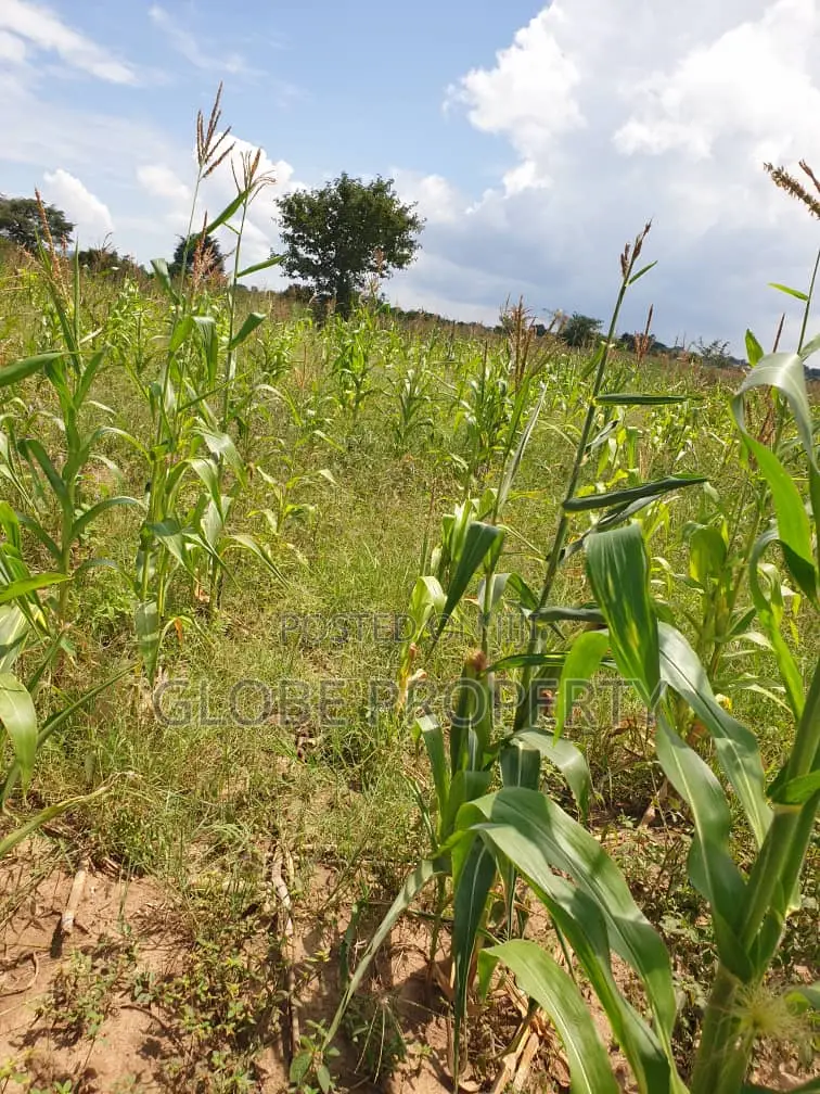 1 Square Mile of Land for Sale in Kayunga