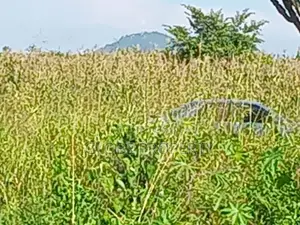 80 Acres of Land for Sale Near the Lake