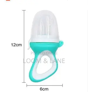 Baby Fruit Feeder Pacifiers Silicone Fresh Food Feeder
