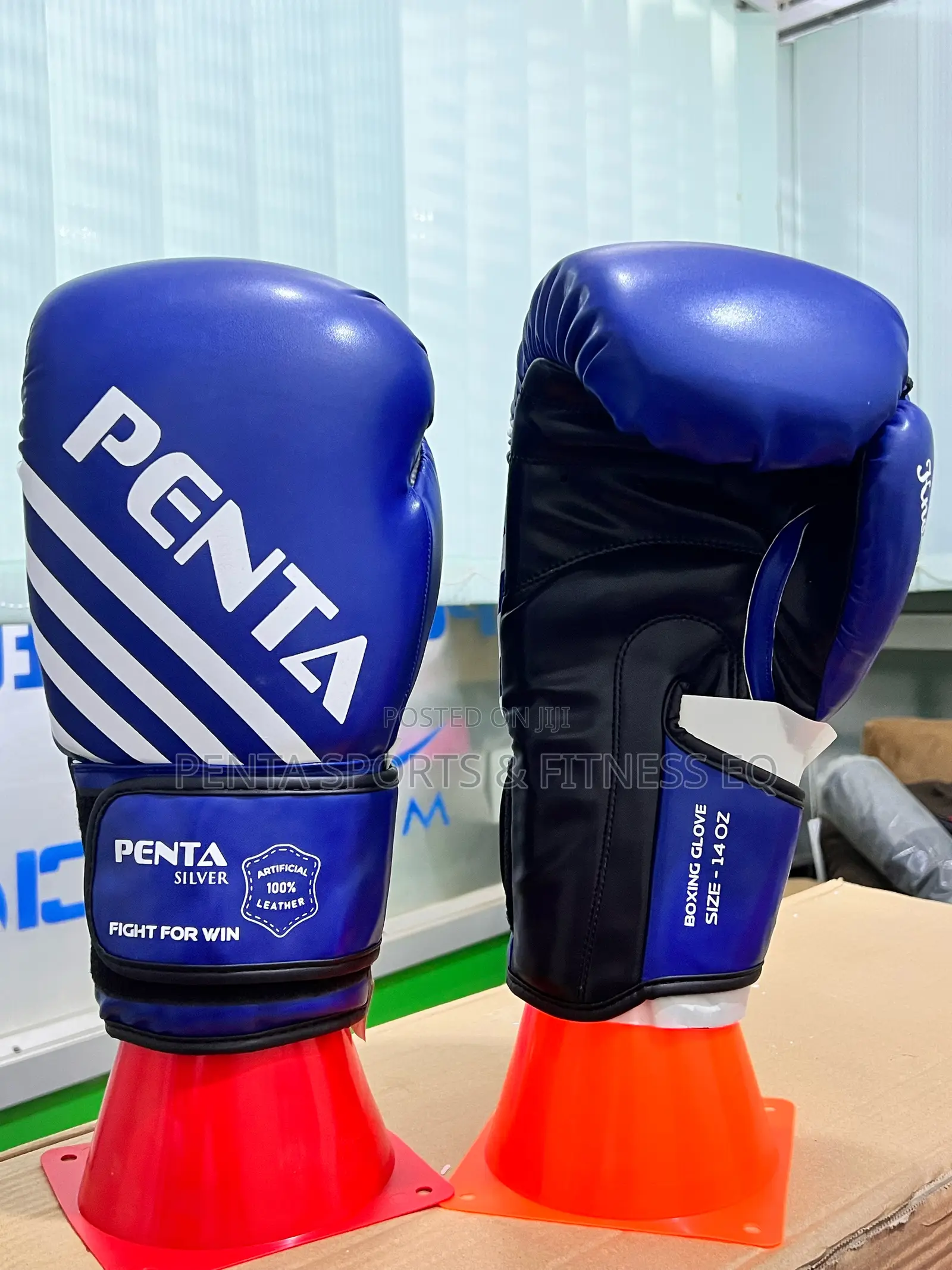 Punching Gloves Penta