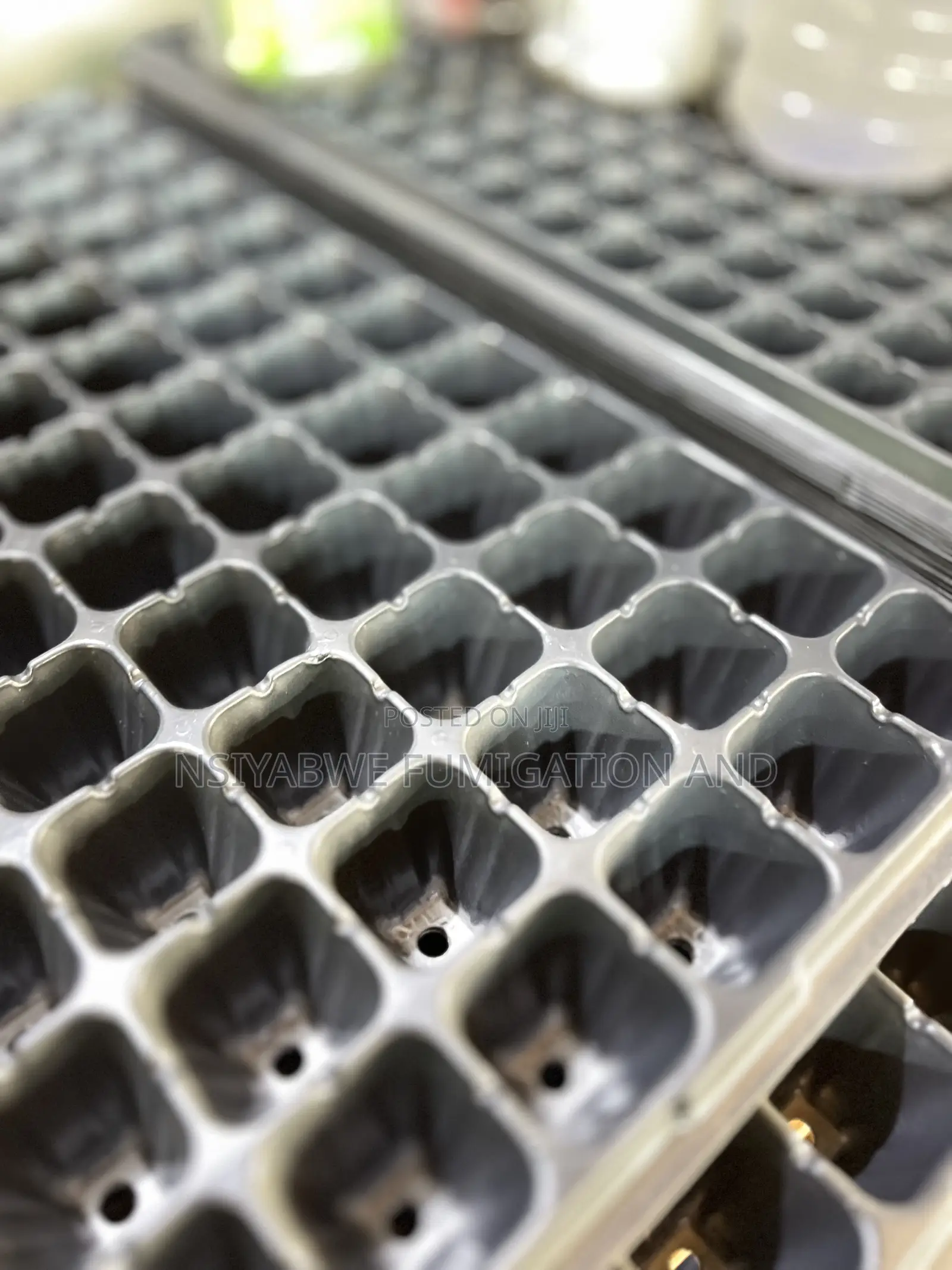 Seedling Trays