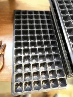 Seedling Trays