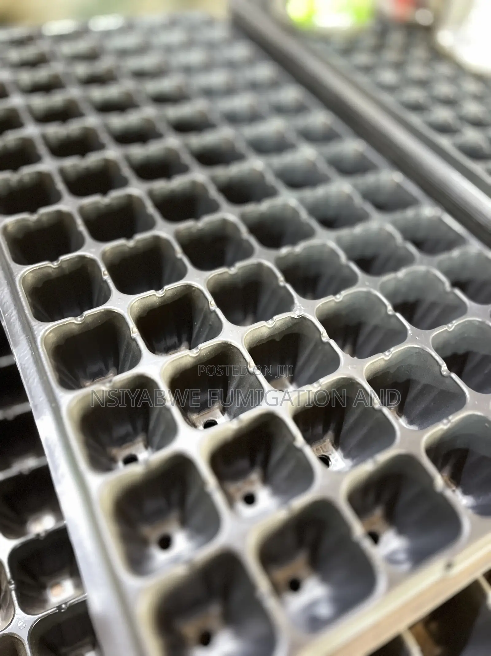 Seedling Trays