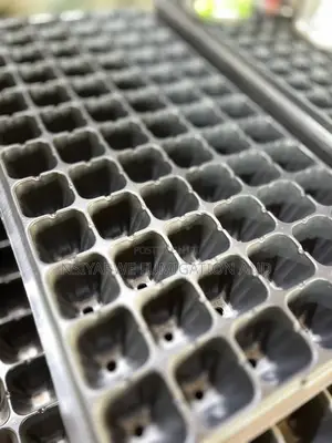 Seedling Trays
